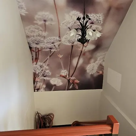 Haus Pusteblume Apartment